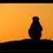 Sunset-silhouette-border