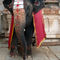 Laxmi-the-elephant-in-hampi-temple-04