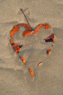 Love on the Beach Palolem von serenityphotography