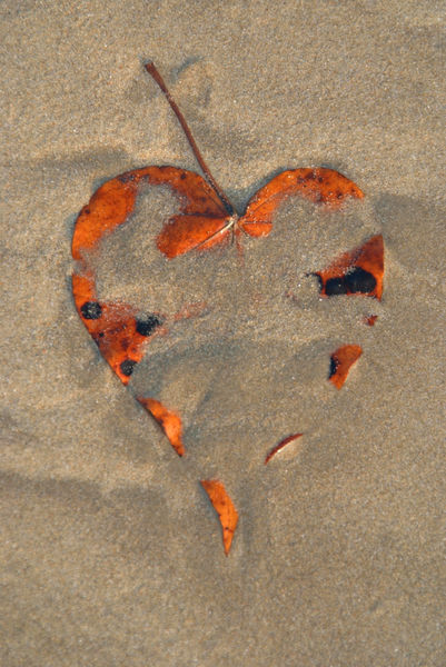 Love-on-the-beach-palolem