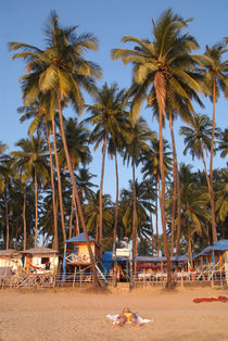 Palm Lined Beach Palolem by serenityphotography
