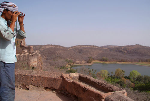 Looking-out-from-ranthambore-fort