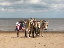In the Donkey Ride Que by Sarah Couzens