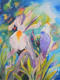 'Silver Beauty Iris ' von Warren Thompson