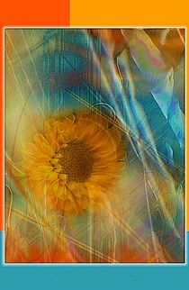 Sommerblume by claudiag