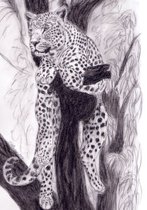 Leopard in Kohle by Susanne Edele