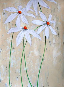 Daisies by Ruth Baker