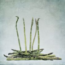 a bunch of asparagus by Priska  Wettstein