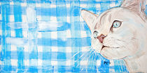 Cats Moments - blue by Annett Tropschug