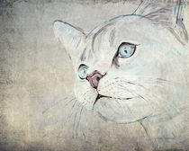 Cat Moments 2- weniger farbintensiv von Annett Tropschug