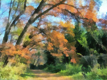 Autumn in forest von Odon Czintos