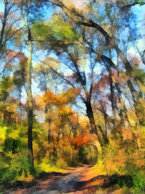 Autumn in forest von Odon Czintos