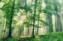 The green forest von Odon Czintos