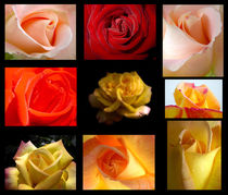The bouquet of roses von Odon Czintos