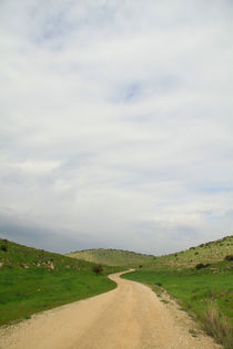 A road in a green desert