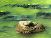 Stons in green river von Odon Czintos