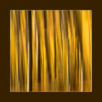 Forest in abstract von Odon Czintos