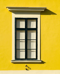The window by Odon Czintos