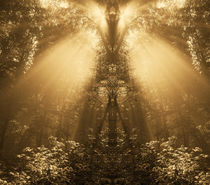 Golden forest reflections von Odon Czintos