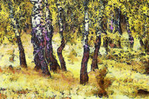 The birch forest by Odon Czintos