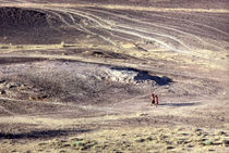 Desert landscape with two figures von David Halperin