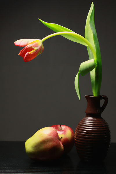 Die-tulpe-in-der-vase