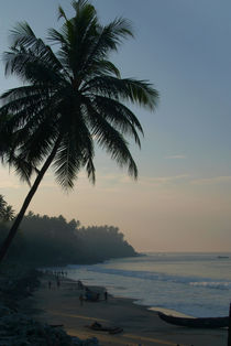 Palm Trees and Varkala Beach by serenityphotography