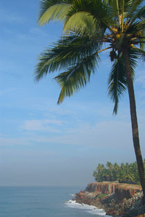Palm Trees on the Cliff Varkala von serenityphotography