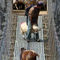 Goats-on-suspension-bridge-tikhedhunga