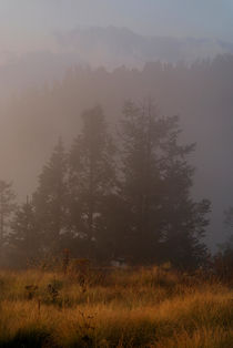Morning Mist Poon Hill von serenityphotography