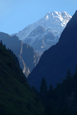Pines-and-mountains-near-dharapani