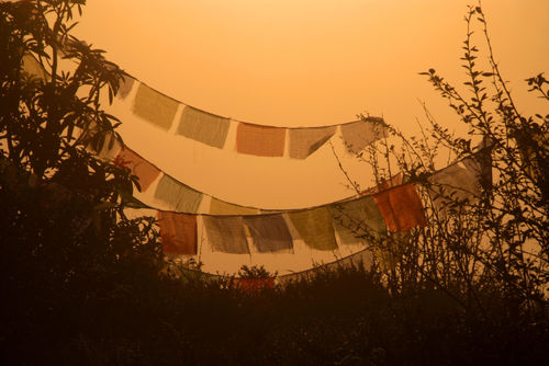 Prayer-flags-and-mist-poon-hill