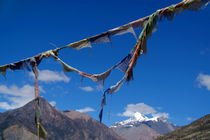 Prayer Flags in Manang by serenityphotography