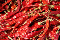 Red Chillies Drying in Kathmandu by serenityphotography
