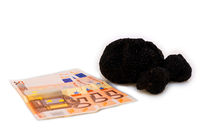 Expensive Italian Black Truffles  by Pier Giorgio  Mariani