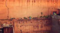 The Planted Wall, Marrakech von Lindsay Kokoska