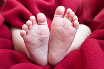 Baby Feet by Alice Gosling