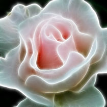 Pink Rose von Alice Gosling