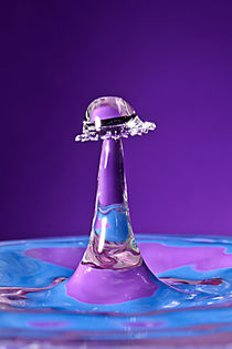Water Drops by Alice Gosling