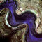 Blue-clam-with-nudie-branch