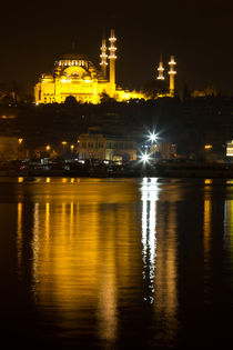 Suleymaniye Mosque by Evren Kalinbacak