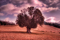 One Tree Hill von deanmessengerphotography