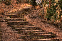 the steps by deanmessengerphotography