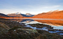 Winter Scene Scotland by Jacqi Elmslie