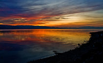 Seaside Sunset von Jacqi Elmslie