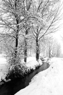 Winter time  von Pier Giorgio  Mariani