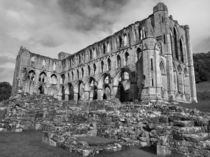 Ruins of Rievaulx Abbey by Sarah Couzens