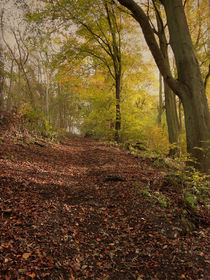 Autumn in Brantingham Woods von Sarah Couzens