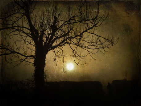 P1010143-fog2-daguerreotype-1-2-shc-final