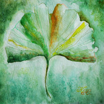 Ginkgo leaf / Ginkgoblatt by Katia Boitsova